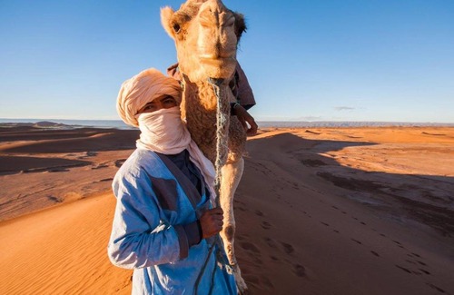 Beni Abbes Other | LUXURY CAMP