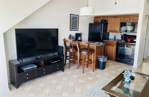 Riverwalk Condo | Luxury Condo on the River-Million Dollar View!