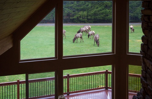 Packwood Cabin | Luxury cottage, perfect getaway to relax or explore the outdoors