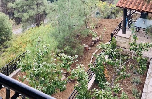 Vasa Koilaniou Villa | Luxury House-,Troodos Mountains,forest