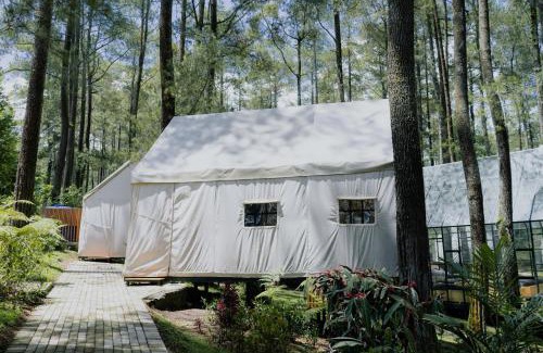 Cikole Other | Luxury Deck Cabin