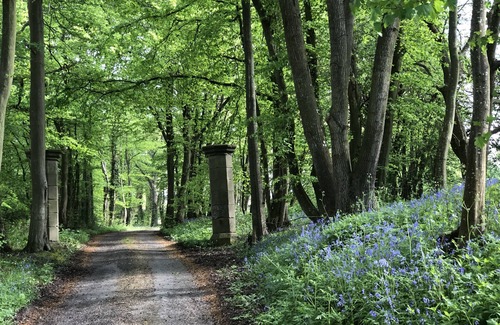 Cranbrook Cottage | Luxury Five Star Barn hidden on quiet Kent country estate
