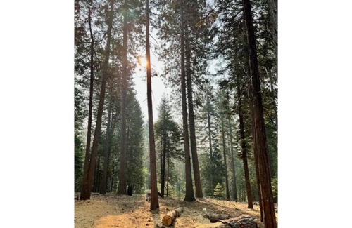 Nevada City House | Luxury Getaway in National Forest on 7 Acres