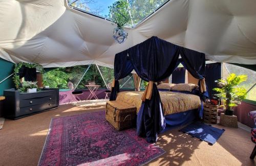 Narberth Other | Luxury Glamping in the Stargazer Dome or Woodlove Yurt - Beautiful Private Setting close to Narberth