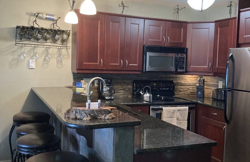 Dillon Condo | Luxury Lakeside Getaway, Central To Ski Resorts, Free Wi-Fi