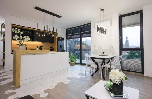 Tirgu Mures Apartment | Luxury Landing 11 - centrally located accomodation with private parking Targu Mures