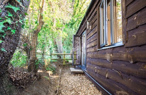 New Forest District Cabin | Luxury Lodge in the New Forest National Park Sway