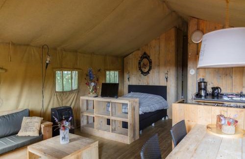 Municipality of Haaksbergen Other | Luxury Lodge in Twente with Meadow Views
