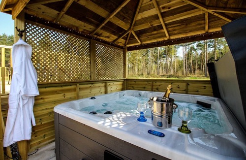 Ryther Apartment | Luxury Lodge with Woodland view with hot tub at Hollicarrs - Stag Lodge