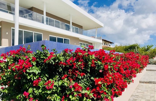 St. Marie Villa | Luxury New Villa Casa-Bella Ocean View, Walk to Private beach, Pool, 8 Guests