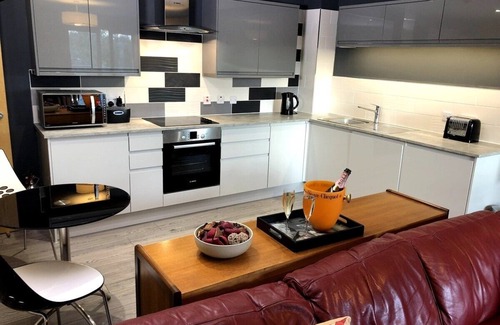 Newcastle-upon-Tyne Apartment | Luxury Ouseburn flat with city & river views