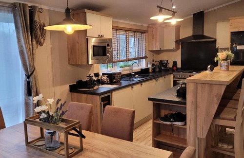 New Forest District Resort | LUXURY PEACEFUL LODGE on edge of New Forest and 800m from sea ENTERTAINMENT and LEISURE PASSES INCLUDED