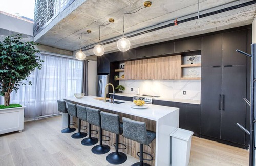 International District Apartment | Luxury Penthouse Private Rooftop Old MTL
