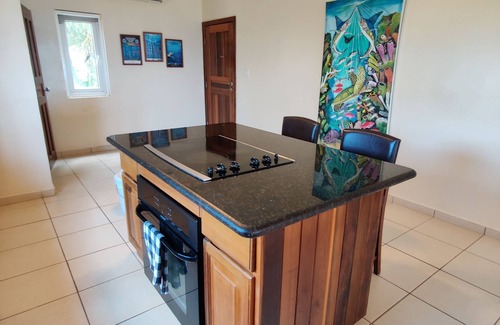 West End Condo | Luxury Penthouse with Stunning Ocean View s