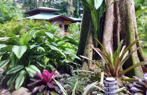 Cahuita House | Luxury room Tucan - Cahuita - Limon