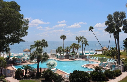 Pinellas Point House | Luxury Seaside Stay! Private Beach, Outdoor Pools, Pets are Welcome!