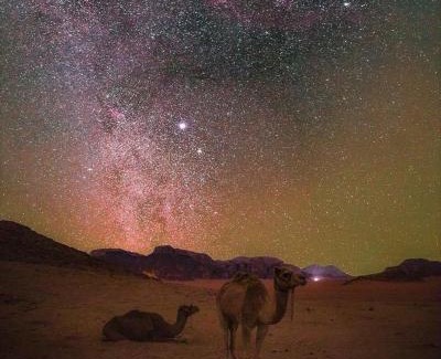 Wadi Rum Apartment | luxury stars Wadi Rum