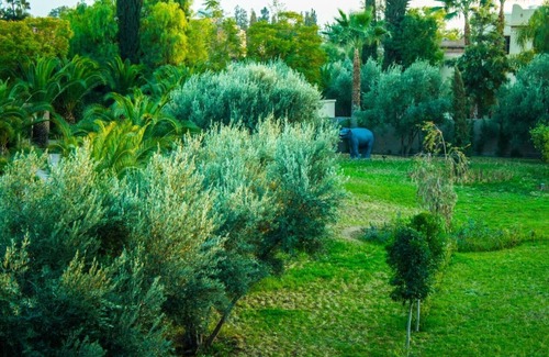 El Aggada Villa | Luxury villa "Le Cartier" (5 suites, 10 people)