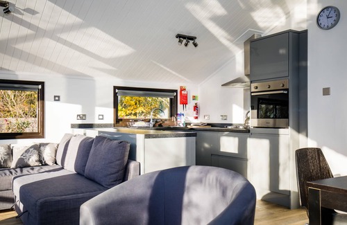 Dilton Marsh Ski Chalet | Luxury Wooden Lakeside Lodge DUNLIN with HOT TUB Near Longleat
