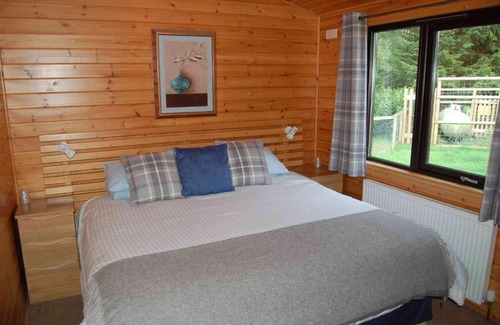 Killin Cabin | Luxury woodland Alder Lodge