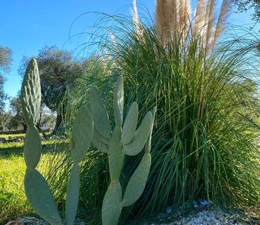 Carovigno Villa | LUXUS VILLA WITH SWIMMINGPOOL, 1-6 p., CAROVIGNO