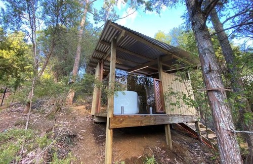 Waipapa Other | Lynx Lodge