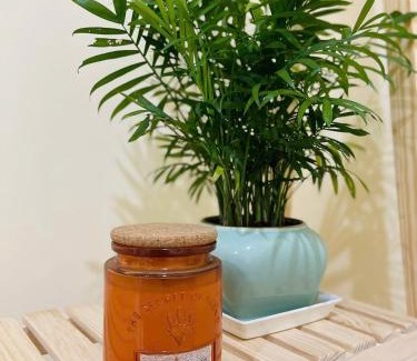 Tay Ninh Apartment | Mây's garden