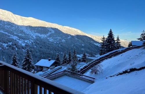 Meribel Apartment | Méribel 2 pièces avec cabine, centre, proche commerce et pistes avec parking et wifi état neuf