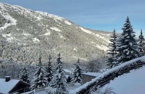 Meribel Apartment | Méribel 2 pièces avec cabine, centre, proche commerce et pistes avec parking et wifi état neuf
