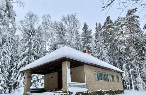 Itainen District Ski Chalet | Mökki meren läheisyydessä