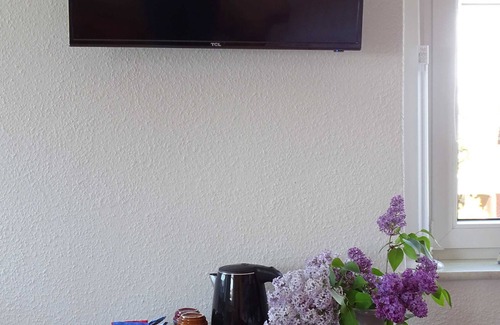 Rosenbach/Vogtl. Apartment | Mühlenzimmer DZ Nr.3 - Pension & Gaststätte Cafe Syrau