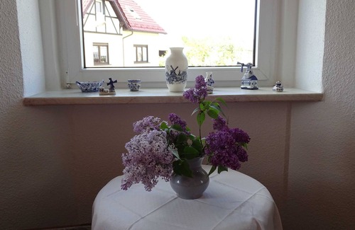 Rosenbach/Vogtl. Apartment | Mühlenzimmer DZ Nr.3 - Pension & Gaststätte Cafe Syrau