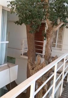 Navarro Apartment | M L