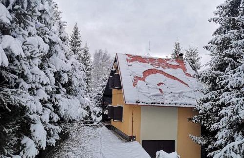 Kokava nad Rimavicou Ski Chalet | M&M Chata Kokava Línia