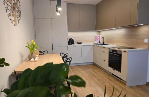 Kosice Old Town Apartment | M&M2 apartment near center with free parking - AC