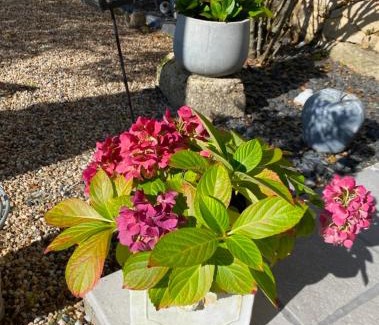 Sainte-Foy-la-Longue Bed & Breakfast | Ma demeure dans les vignes
