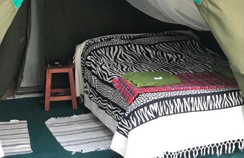 Mbirikani Resort | Maasai Simba Camp