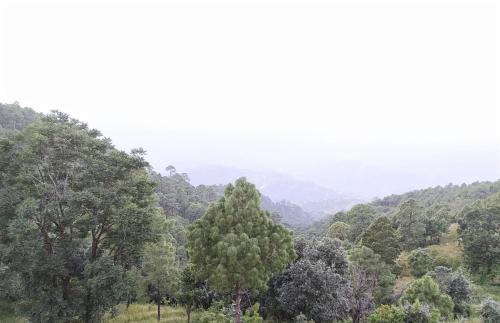 Lansdowne House | Maavaa Dreamland