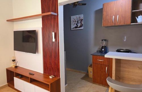 Dansoman Apartment | MAC Homes Blueberry Suite 2