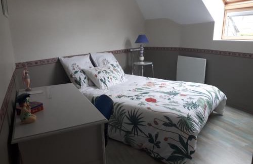 Binic Bed & Breakfast | macareux
