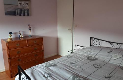 Binic Bed & Breakfast | macareux