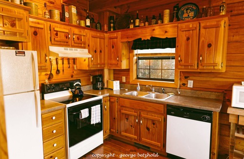 Murphy Cabin | MacLeod cabin in Scottish Woods