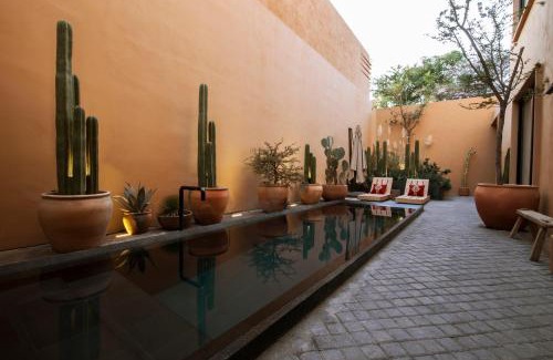 Ruta Independencia Hotel | Macondo Arte Oaxaca
