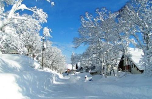 Madarao Mountain Resort House | Madarao Elm Pension