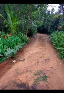 Sangameswarpet House | Madhu Giri Stay