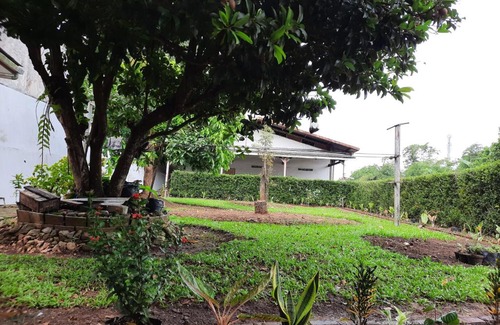 Temanggung House | Madureso asri homestay