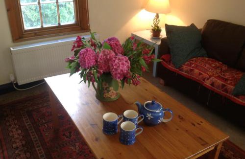 Aberystwyth House | Maescelyn