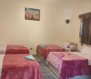 Aswan House | Maghrabi's Guest house