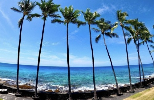 Kahaluu Bay Condo | Magic Sands Ocean Front Condo. Kailua-Kona
