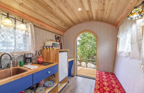 Fairplay Cottage | ☆ Magical Gypsy Wagon ☆ Unique Mountain Getaway